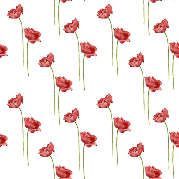Patrón sin costuras con flores de amapola acuarela —  Fotos de Stock