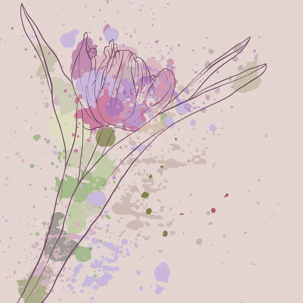Vektor ritning tulip blomma — Stock vektor