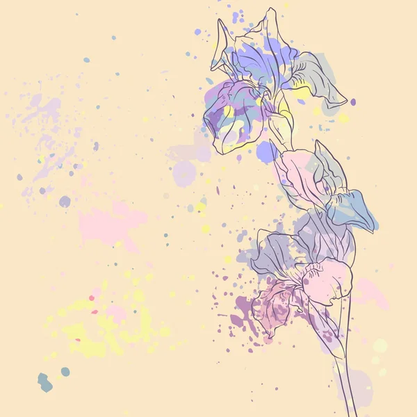 Векторний малюнок квітка райдужки — стоковий вектор