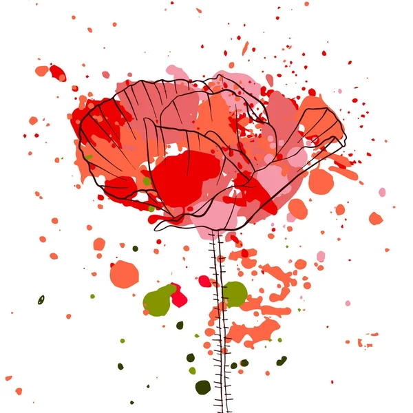 Vector drawing poppy flower — Stock Vector