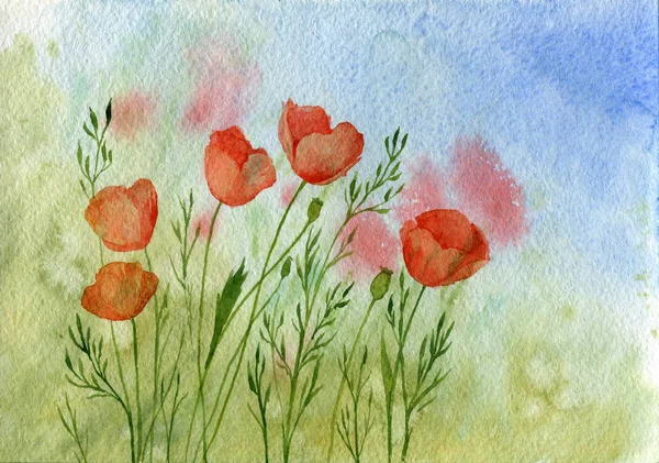 Aquarelle fleurs de pavot rouge — Photo