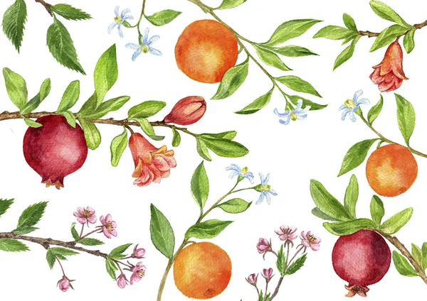 Шаблон з гілками фруктового дерева, листям, квітами та ягодами — стокове фото