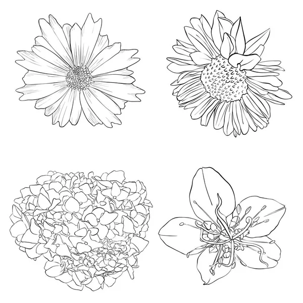 Vektor ritning blommor — Stock vektor