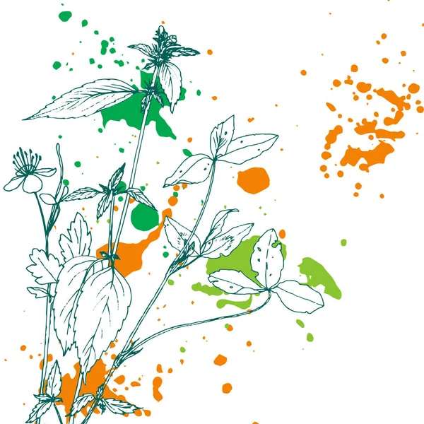 Fundo com o desenho de ervas e flores — Vetor de Stock