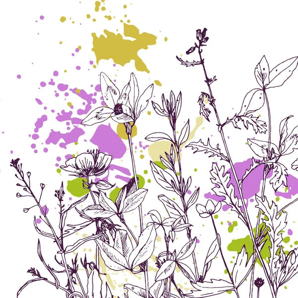 Fundo com o desenho de ervas e flores — Vetor de Stock