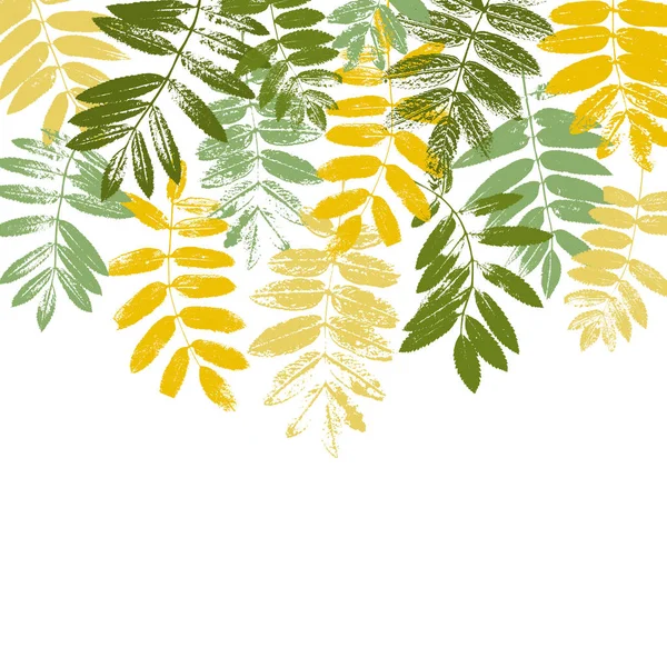 Tempalte con silhouette di foglie — Vettoriale Stock