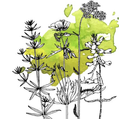 Arka plan bitki ve çiçek çizim ile