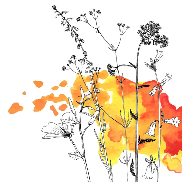 Фон з малюнком трав і квітів — стоковий вектор