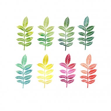 ağaç yaprakları suluboya kümesi
