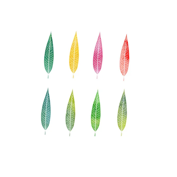 Watercolor set of tree leaves — Stock Photo, Image