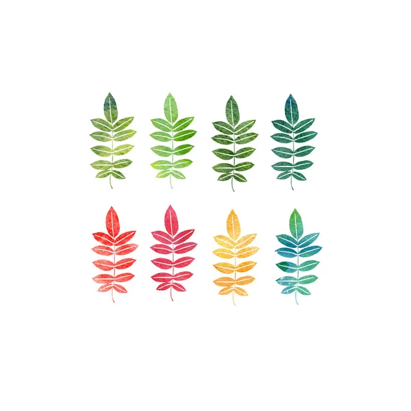 Watercolor set of tree leaves — Stock Photo, Image