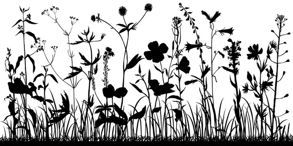 Hintergrund mit Zeichnung von Kräutern und Blumen — Stockvektor