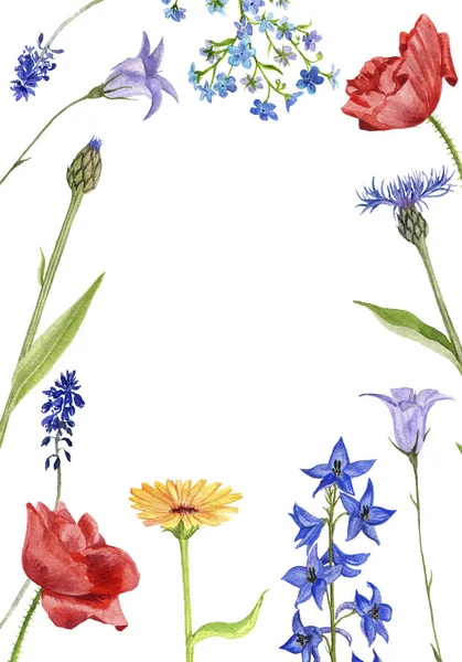 Акварельний малюнок квітів і рослин — стокове фото