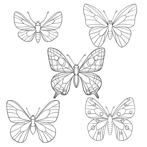 Vektor Reihe von Schmetterlingen — Stockvektor