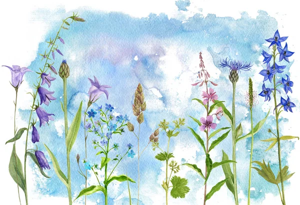 Aquarel tekenen bloemen en planten — Stockfoto