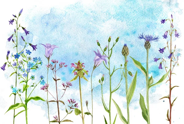 Akvarelu výkresu květiny a rostliny — Stock fotografie