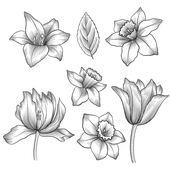 Vintage vector floral set Stock Illustration