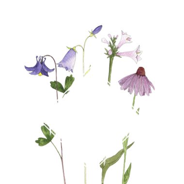 suluboya çiçekler çiziyor