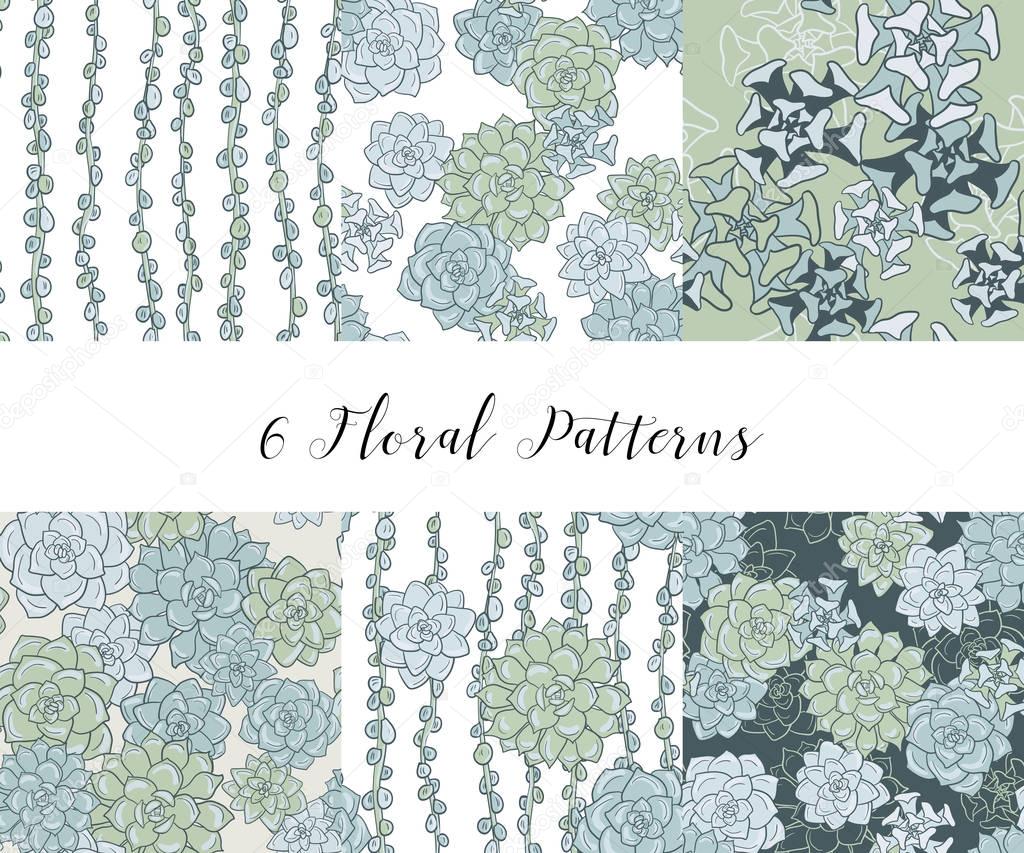 vector set of seamless patterns with succulents