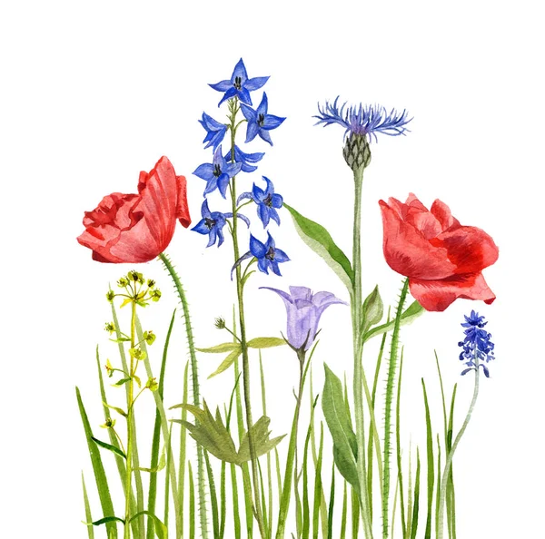 Kytice akvarel květiny — Stock fotografie