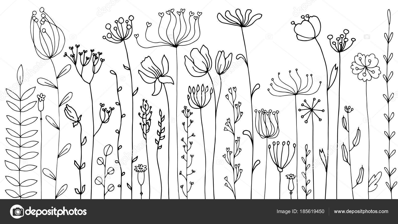 Background with drawing herbs and flowers \u2014 Stock Vector
