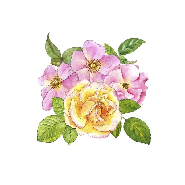 Watercolor drawing roses — Stock Photo, Image