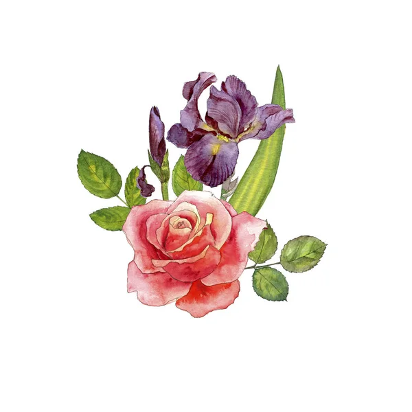 Watercolor drawing roses — Stock Photo, Image