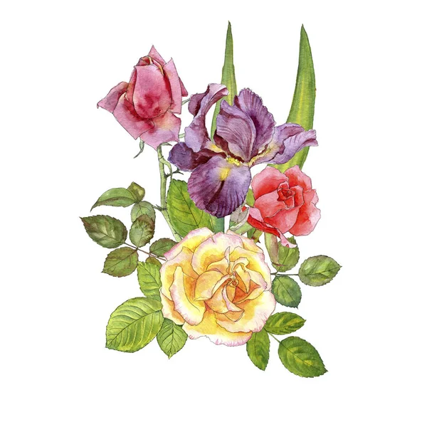 Watercolor drawing roses — Stock Photo, Image