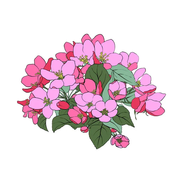 Vektorové květy jablek — Stockový vektor
