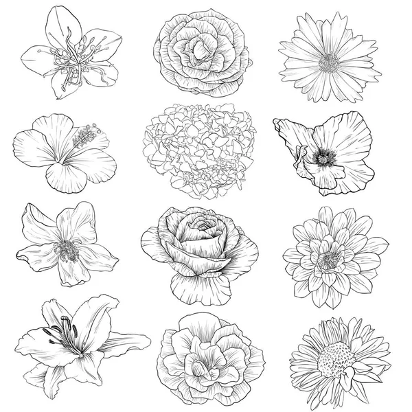 Vector dibujo flores — Vector de stock