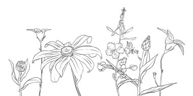 vektör çizimi çiçekleri