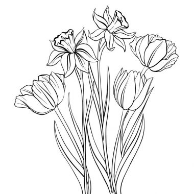 vektör çizimi çiçekleri