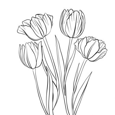 vektör çizimi çiçekleri