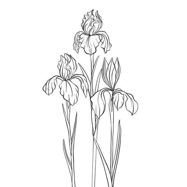 Vectortekening bloemen — Stockvector