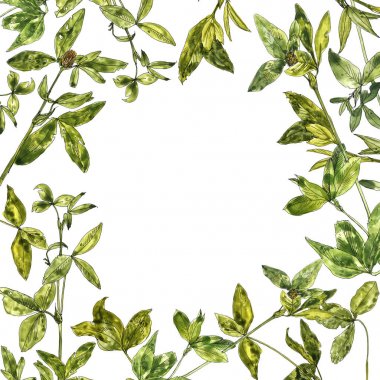 yonca çizim suluboya bırakır