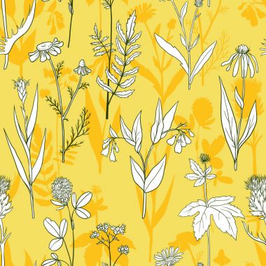 vector seamless pattern with medical plants clipart