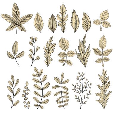 yaprakları, vintage çiçek kümesi vektör