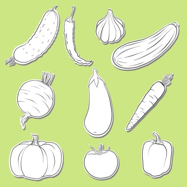 sebze çizim vektör
