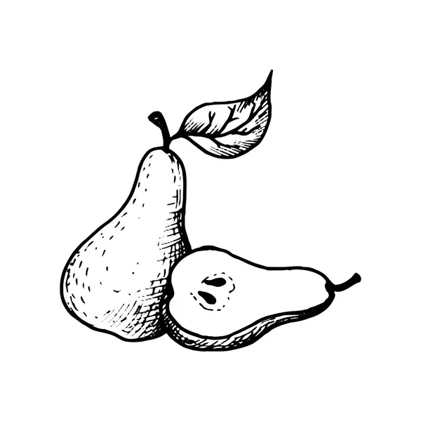 Vector inkt tekening pear — Stockvector