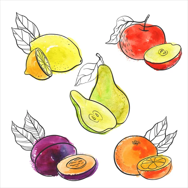Vektorové kreslení ovoce — Stockový vektor