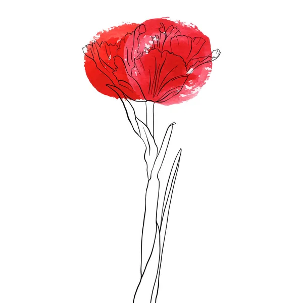 Lale vektör çizim çiçek — Stok Vektör