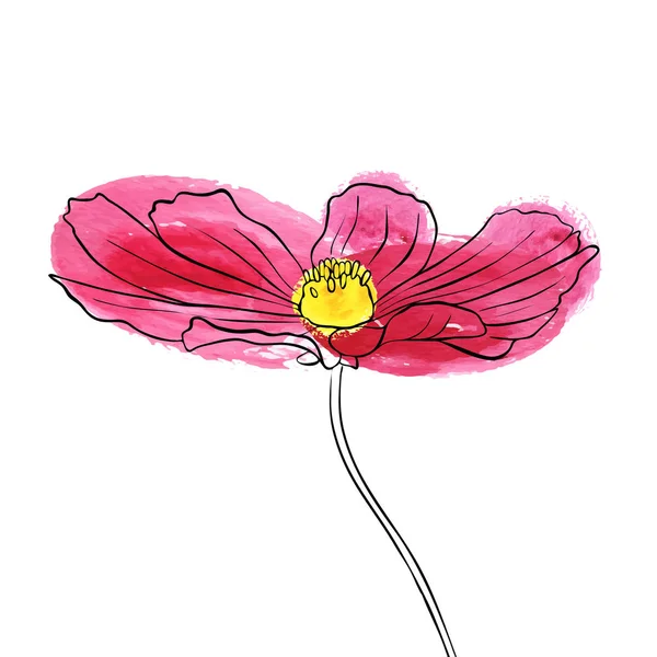 Vektorové kreslení květ sedmikráska — Stockový vektor