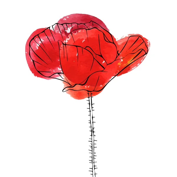 Fiore di disegno vettoriale di papavero — Vettoriale Stock