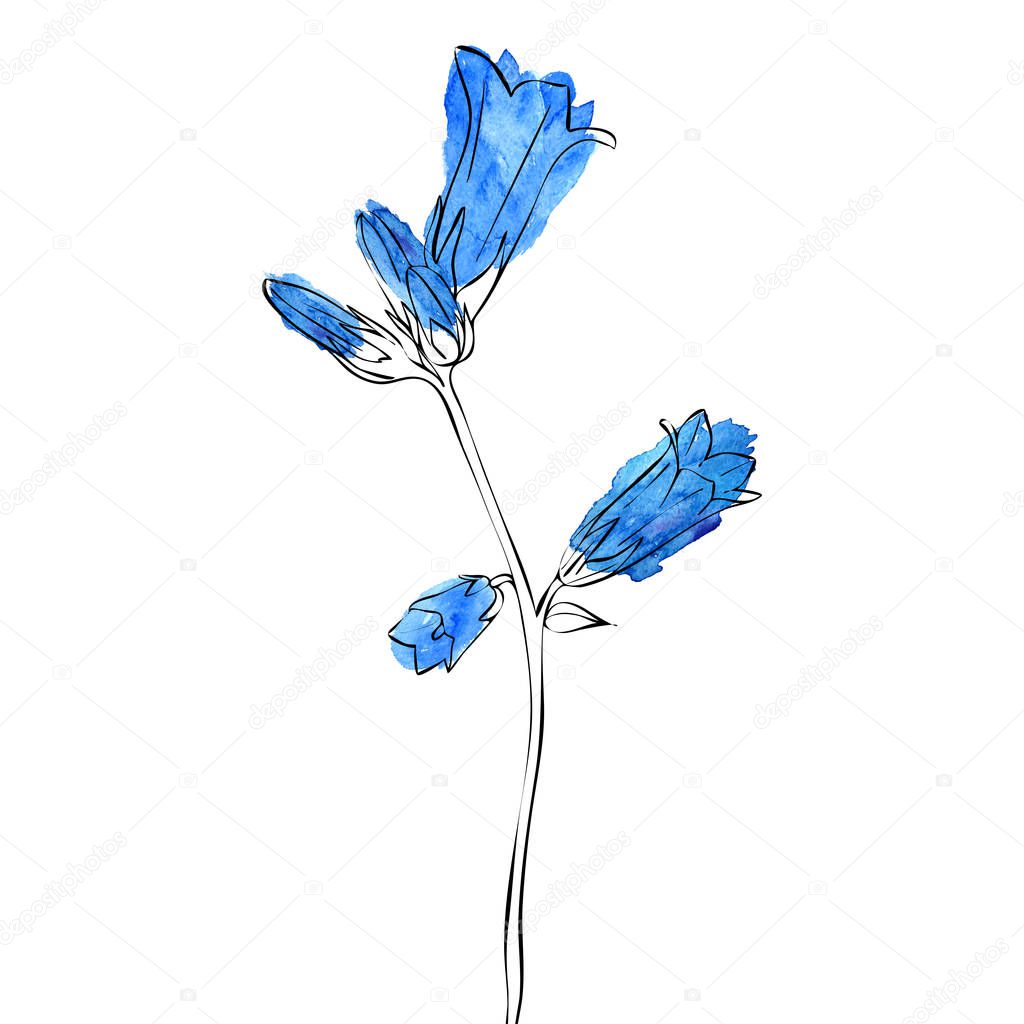 vector drawing bell flower