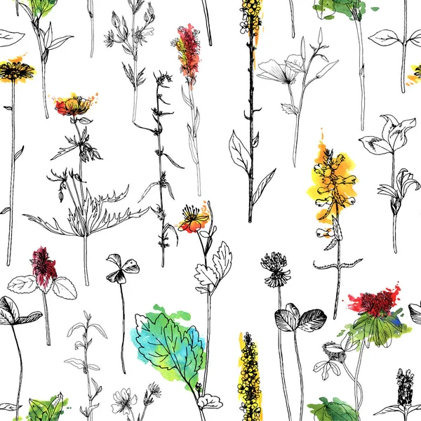 Motif sans couture avec des herbes et des fleurs dessin — Image vectorielle