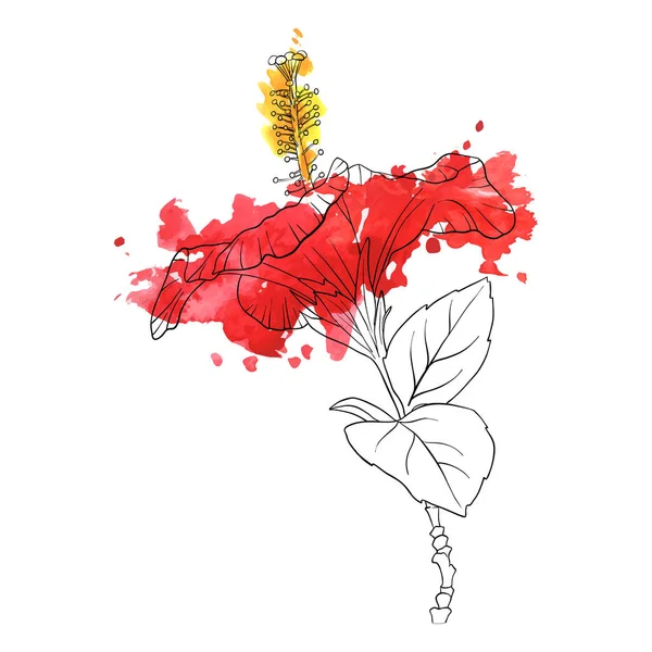 Flor vectorial de hibisco — Archivo Imágenes Vectoriales