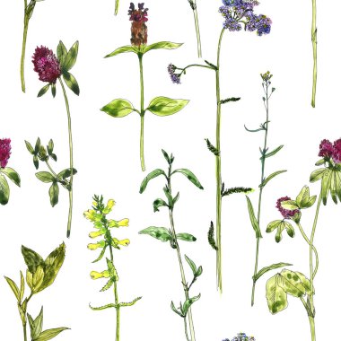 Sulu Boya çizim çiçek ve bitki ile Seamless Modeli