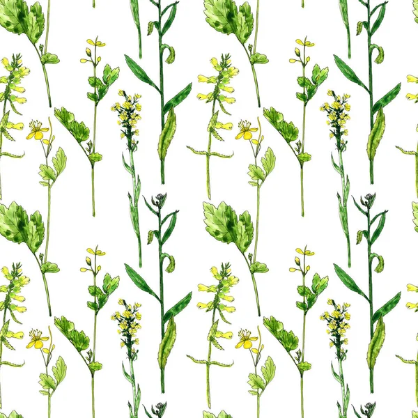 水彩描画花や植物とのシームレスなパターン — ストック写真