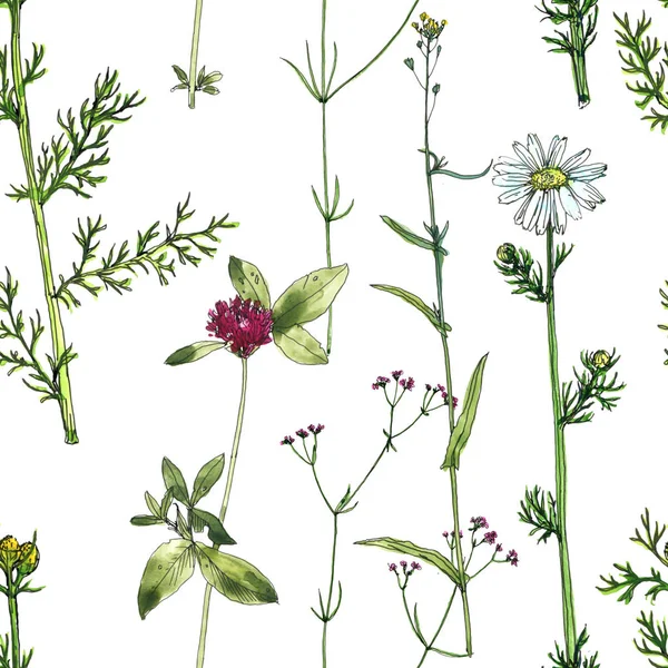 无缝模式与水彩绘画花卉和植物 — 图库照片