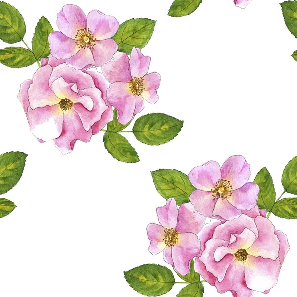 수채화 그리기 장미와 완벽 한 패턴 — 스톡 사진